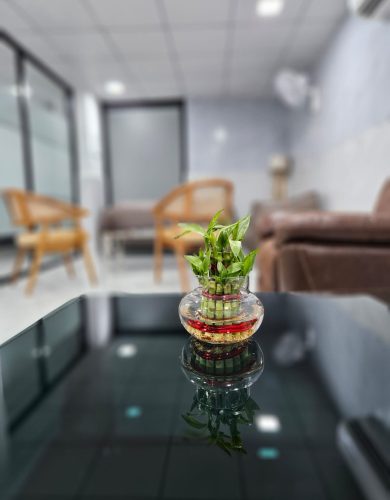 WhatsApp Image 2025-02-27 at 15.05.46